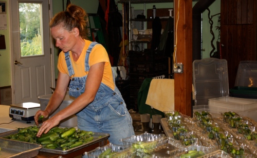 Dividing up the delicious mini snacking cucumbers.